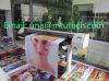 принтер 1.6m Eco растворяющий с головкой печати epson DX5