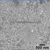 Серебряное Nanoparticles NM-SNP-50