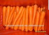 новая морковь урожая 2012
