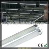 Fluorescent LED Tube Ligh