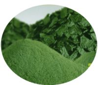 Spirulina в (сила/таблетка)