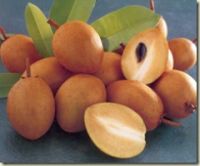 Sapodilla Ракеты