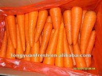 свежая морковь 2012