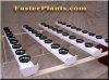 Hydroponics Julian 36 pot growing system