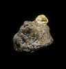 Mine Kimberlite Rocks Ship To Worldwide Kimberlite Rocks