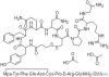 Desmopressin 아세테이트