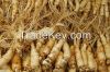 ginseng extract