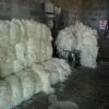 High Quality 100% Natural White Sisal Fibre UG Grade Sisal Fibre for Gypsum Board for Sale