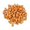 High-Quality Almond Nuts for Sale Freshly Roasted Almond Nuts Available for Healthy Snacking and Nutritious Treats Anytime