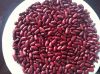 RED KDINEY BEANS, RED BEANS, BRITISH TYPE, DARK RED KIDNEY BEAN