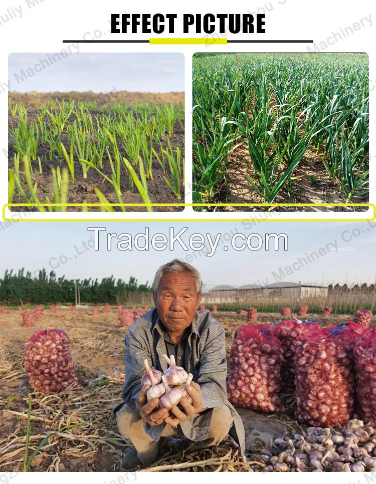 Agriculture garlic planting machine 2 rows 4 rows 6 rows garlic seeding machine motor/gasoline