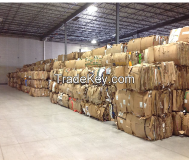 Waste Paper in cheap price 