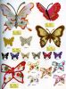 embroideried утюгом заплата бабочки