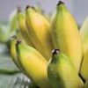 Заедк банана