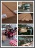 Linyi Plywood, cheap plywood, good plywood, poplar core plywoo