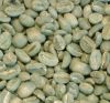 Кофейные зерна Arabica Юньнань