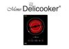 VEES 단청 Delicooker