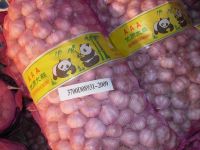 свежий китайский чеснок Whinte 2012 (низкая цена)