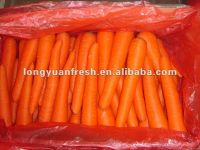 поставщик моркови фарфора