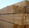 Quality Birch Oak Pine Spruce wood timber lumber