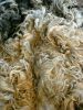 Raw Wool Fleece