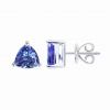 14K Exquisite Tanzanite Earrings (NEW ARRIVAL)