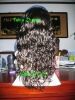 парики шнурка париков человеческих волос полные