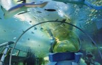 тоннель аквариума