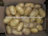 свежий урожай картошки 2012 Китая