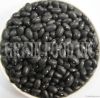 Black Turtle Beans or Small Black Kidney Bean