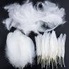 Goose feather , White Goose Feather,Natural 95% White Washed Goose Duck Down Feather for sale