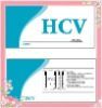 간염 HCV 시험 장비