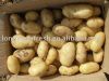 Картошка китайского нового урожая свежая