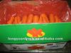 новая морковь