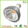 옥수수 속 LED Par30 빛 12W