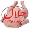 Frozen Brazil Halal chicken