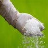 White Irregular Granular Calcium Magnesium Nitrate Fertilizer With Factory Direct