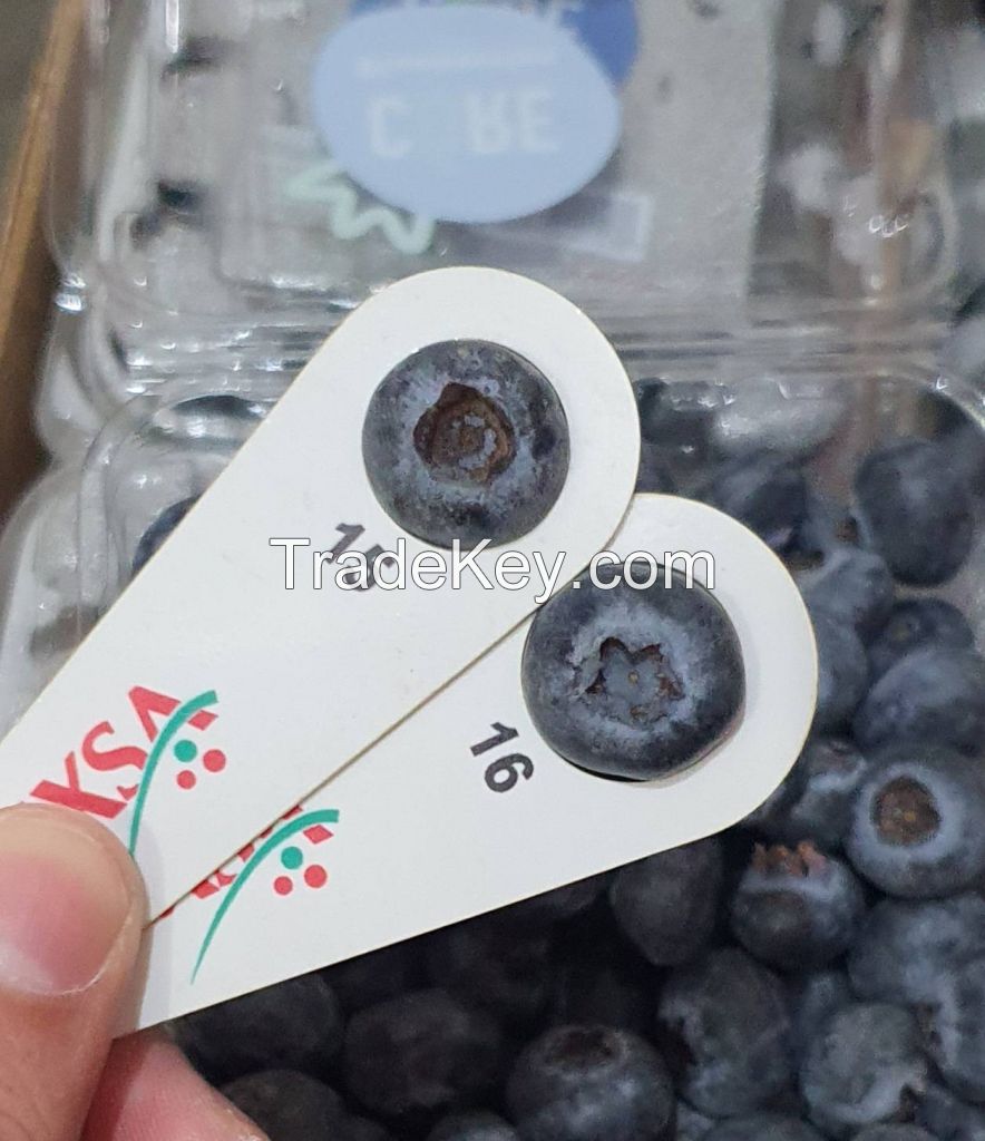 Fresh Fruit Blueberries 125g pint punnets Export Quality Air freight Direct Farms