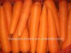 Свежие моркови
