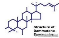 Сапогенины Dammarane