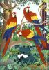 cross stitch pattern parrot