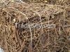 Licorice Root 