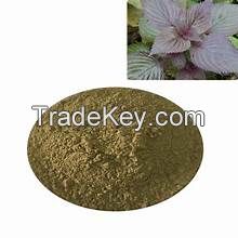 PREMIUM PERILLA LEAF POWDER CLEAN LABEL NON GMO VEGAN FRIENDLY PLANT BASED PRODUCT FOR HEALTHY LIFESTYLE