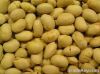 Isoflavones сои