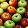 Свежие яблоки яблок, зеленого цвета, красных и желтых