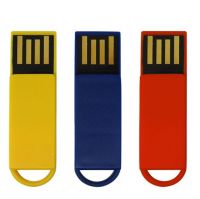 저가 소형 Usb 섬광 드라이브/열쇠 고리 소형 Usb 섬광