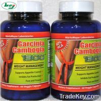 Garcinia Cambogia 추출물 캡슐