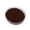 Premium Iron Chelate Ã¢ï¿½ï¿½ Effective Solution for Healthy Crop Growth