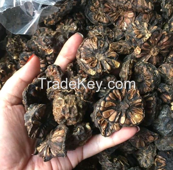 DEHYDRATED NONI FRUIT CUTS / CLEAN COLLECTION / HIGH QUALITY