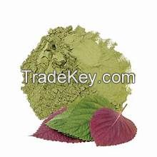 PERILLA LEAF POWDER RICH IN ANTIOXIDANTS AND VITAMINS SUPPORTING IMMUNE SYSTEM AND RESPIRATORY HEALTH